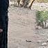 Masoud Goes To His Wife S Grave And Asks Permission To Marry His Sister Masoud And His Mother Clash