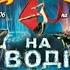 Представление цирка на воде Очень интересное шоу