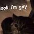Cats Can Talk