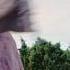 Sofia Ellar Ahora Dime VideoClip Oficial