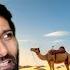 Travelling To Smallest Gulf Country Bahrain My Country No 50