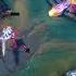 Charizard X Smolder League Of Legends Leagueoflegends