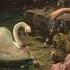 Tchaikrovsky Swan Lake W Screaming Tiktok Audio Edit