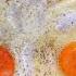 Turkish Egg Recipe Viralshort Food Recipe Ytshorts Cooking Yutubeshorts
