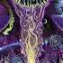 The Macrocosm