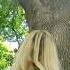 У старого дуба Как думаете сколько лет этому дереву крым Tiktok Trees Blonde Grwm Forest