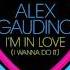 Alex Gaudino I M In Love I Wanna Do It Radio Edit