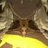 Doomsday Beast Boss Fight Cutscene Honkai Star Rail