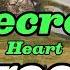 SECRET Heart Dhonbapz Karaoke