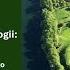 Co Nowego W Archeologii Artykuł O Genezie I Upadku Pierwszego Państwa Polskiego