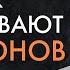 Алексей Смертин Залог успеха в любой сфере дисциплина ума Как футбол спасает жизни