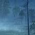 Finnish Folk Music Forests Of Finland