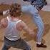JCVD Lionheart