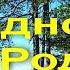 Это всё моё родное Это Родина моя очень трогательное видео видеооткрытки анимация