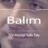 Talib Tale 2017