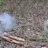 BOWDRILL Fire In Wet Forest FULL INSTRUCTIONS From Real Survival 13 11 2023 Bushcraft Skills