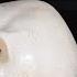 Can A Waterjet Kill You