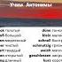Учим Немецкий язык антонимы