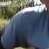 Ооочень душевно поет парень под гитару и голос красивый