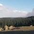 Hyperlapse Of Naches Off Road Trails To Moon Rocks