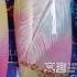 Watch Nail Painting And Blooming Feathers 推荐 第753期 晕染彩绘羽毛