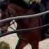 Equitation Balou