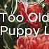 Too Old For Puppy Love Snake City