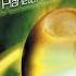 Planeta Aseituna