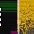 Hot Since 82 Tomaz Filterheadz Sunshine 2025 Ableton Remake