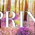 Amazing Colors Of Spring 4K Nature Relaxation Film Relaxing Piano Music Natural Landscape