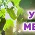 ДЖО ДИСПЕНЗА Утренняя медитация