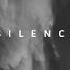 Salecky Silence Full Album Melodic Techno Melodic House