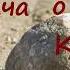ПРИТЧА О КАМНЕ Нерешительность Низкая самооценка