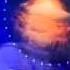 Pink Floyd Graet Gig On The Sky Flv