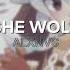 She Wolf Shakira Edit Audio