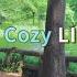 Cozy LIFE In Japan Spending Peaceful Days Off On Sunny Weekend