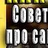 Люби себя как котика Советы психолога про самоотношение Олеся Галькевич Аудиокнига