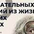 6 СЕРГЕЙ КАПИЦА Физику надо было учить в школе