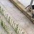 Rose Planting Trough Maker How This Tool Saves 3 Hours Of Manual Work