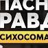 Как СТРАХИ УПРАВЛЯЮТ нами Михаил Филяев о психосоматике энергии и мышлении