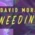 Needin U Boss Anthem Mix David Morales Presents The Face