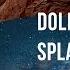 Dollar Needles Splasher