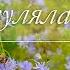 В саду гуляла