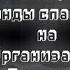 2х Реакция Команды спасателей на Организацию Гости Райя JDH Окетра Точка Невозврата