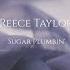 Reece Taylor Sugar Plumbin Lyrics