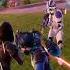 Fortnite Chapter 6 Season 3 27 Shorts