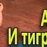 Ап И тигры у ног моих сели