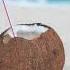 Tropical Beach Dance House Music Grains Of Sand By Hallman Stay At Home Vacay Music Soft House
