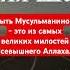 Быть Мусульманином это из самых великих милостей Всевышнего Аллаха Мухаммад абу Хамза