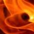 Really Slow Motion Reborn From Ashes Vivien Chebbah 2013 Cosmogeny